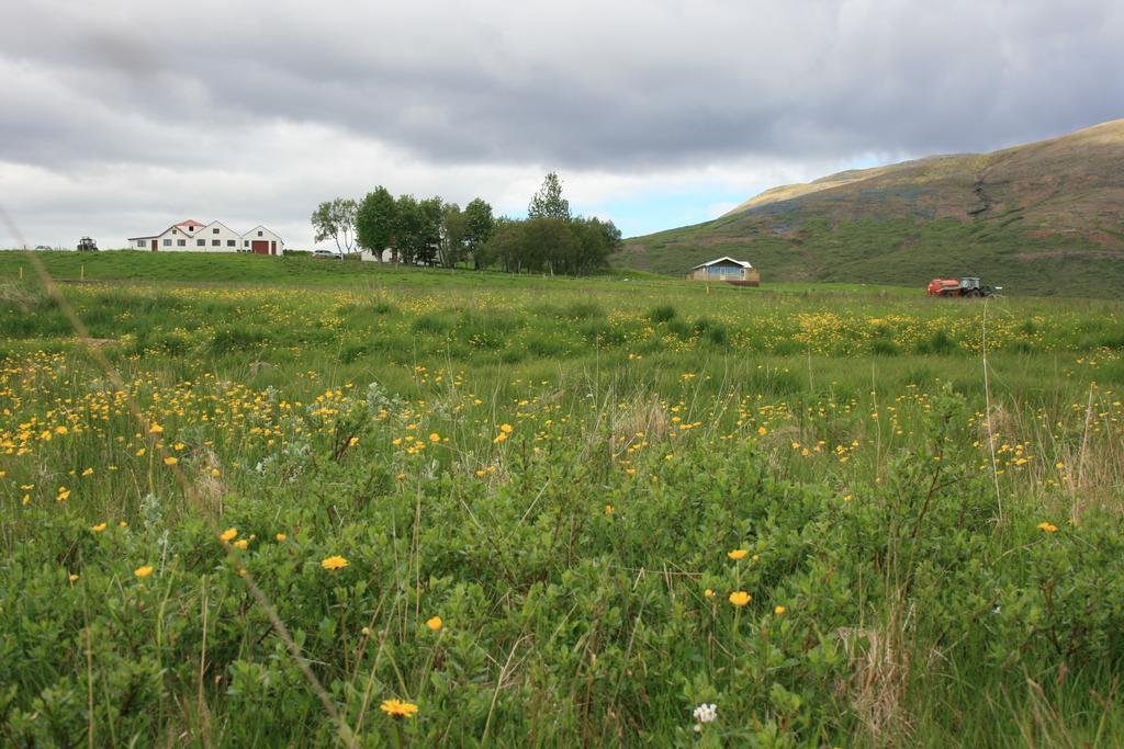 Eyvindartunga Farm Cottage Laugarvatn Exteriér fotografie